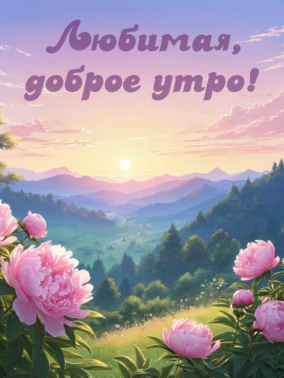 Утро, красивые розовые пионы на фоне заката