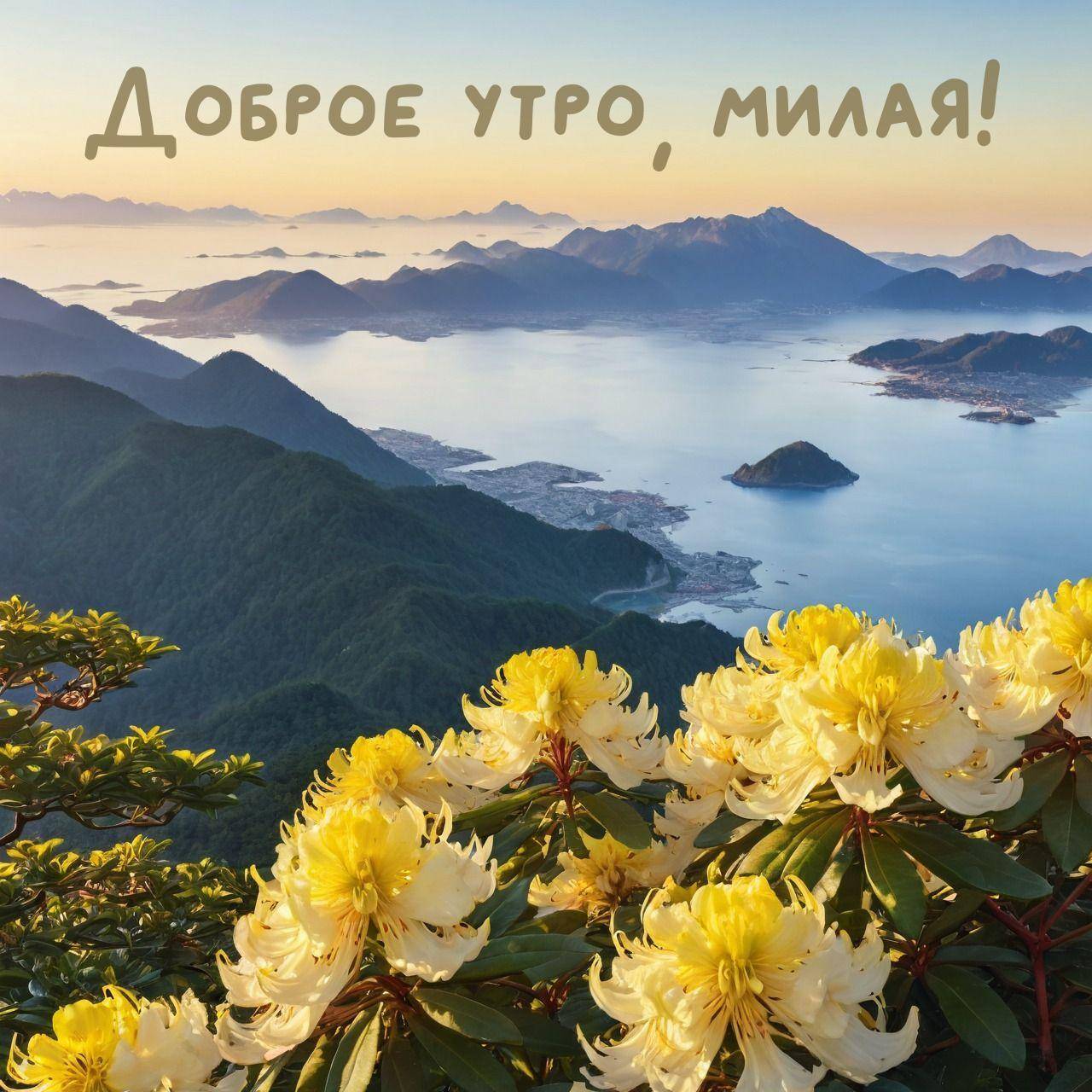 Утро, красивый пейзаж с видом на море и горы. На переднем плане цветут ярко-жёлтые цветы.