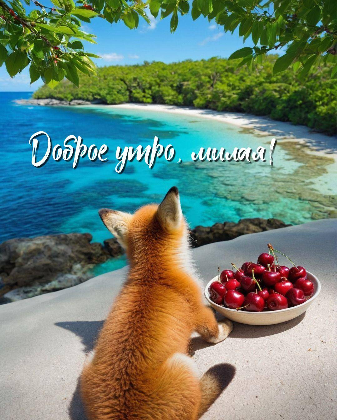 Утро, маленькая рыжая лисичка у моря с вишнями
