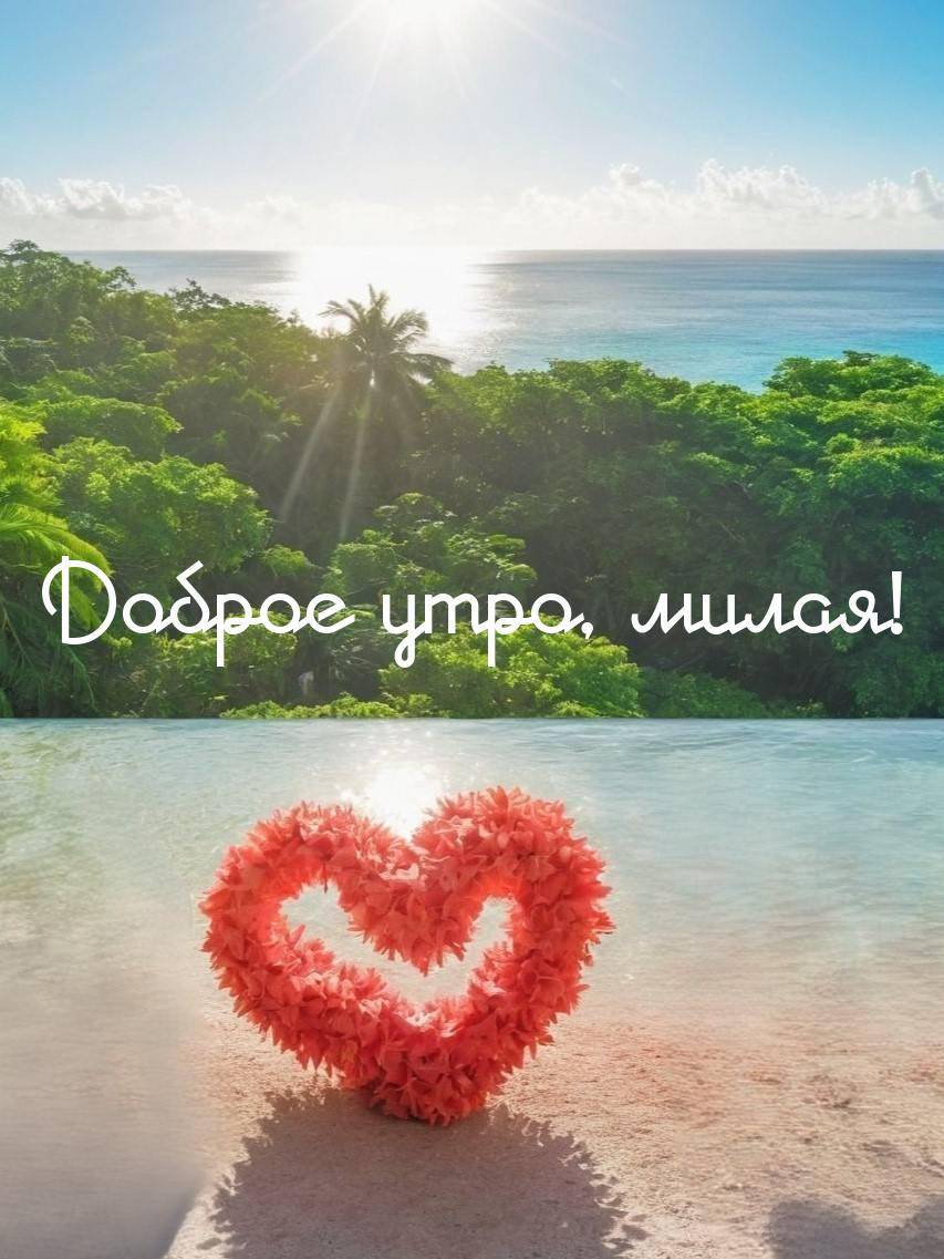 Утро, сердце из цветов на побережье