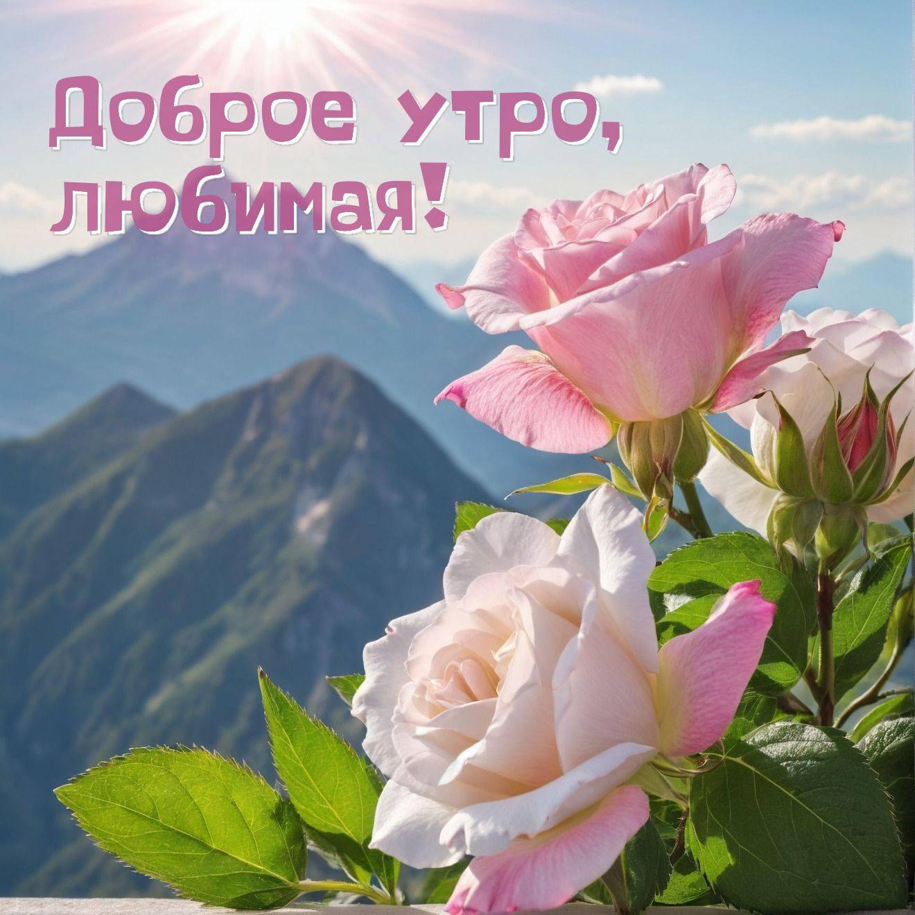 Утро, солнце над горами и розы