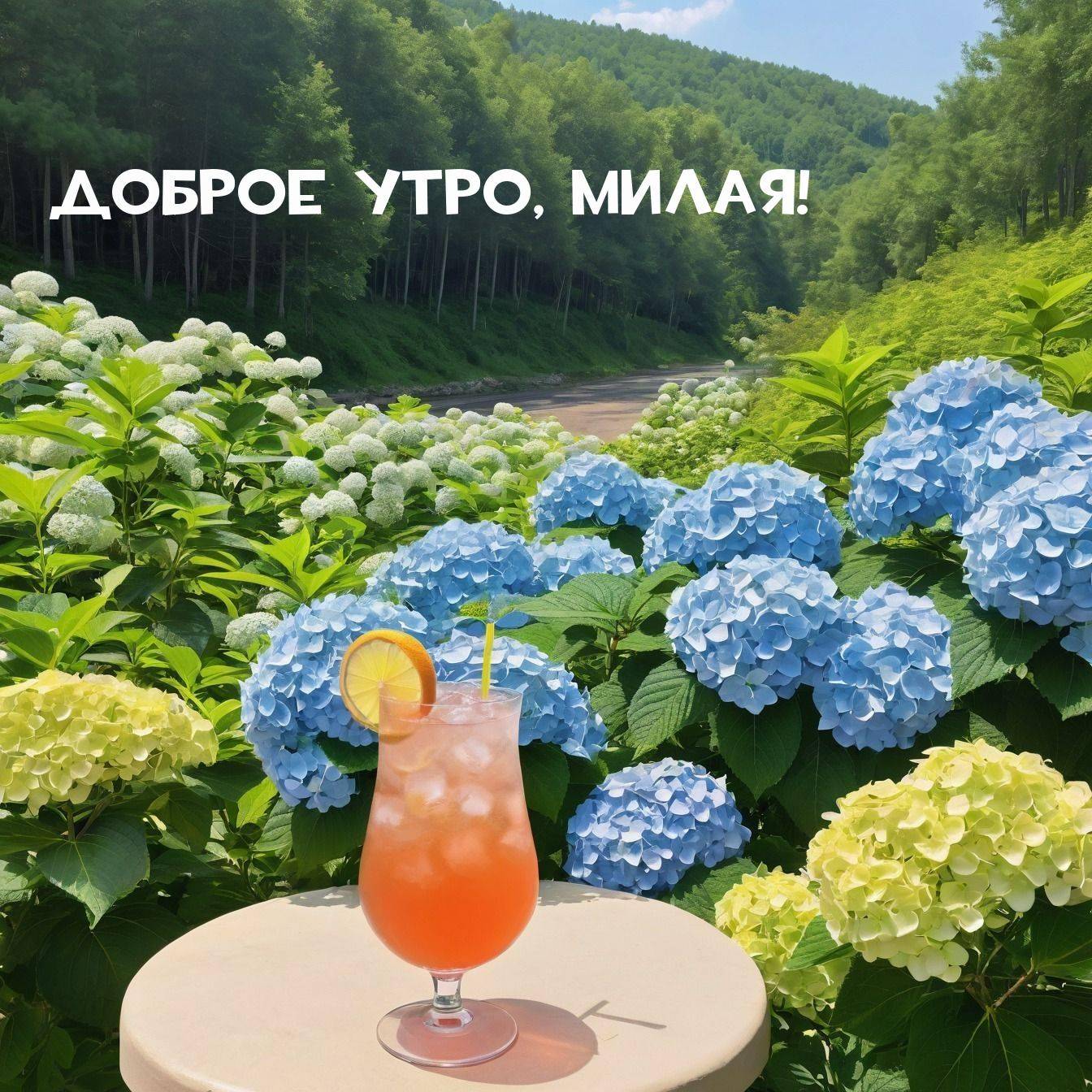 Утро, живописная природа с гортензиями и напитком