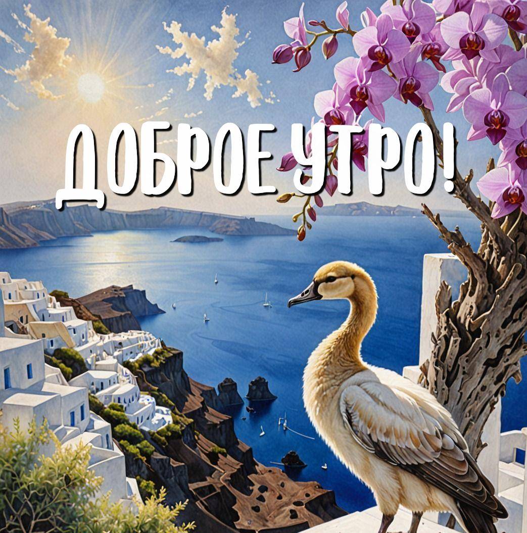 Утро, птица на парапете с видом на море