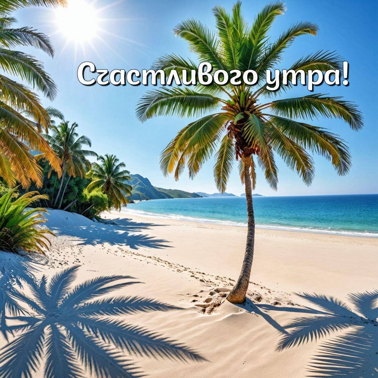 Утро, тропический пляж с пальмой, песком и голубым морем