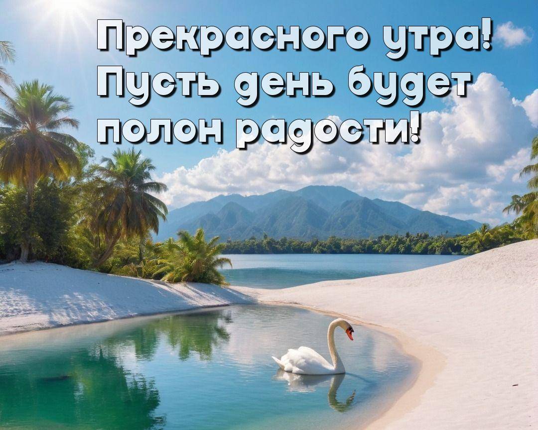 Утро, живописный пляж с пальмами и белым лебедем