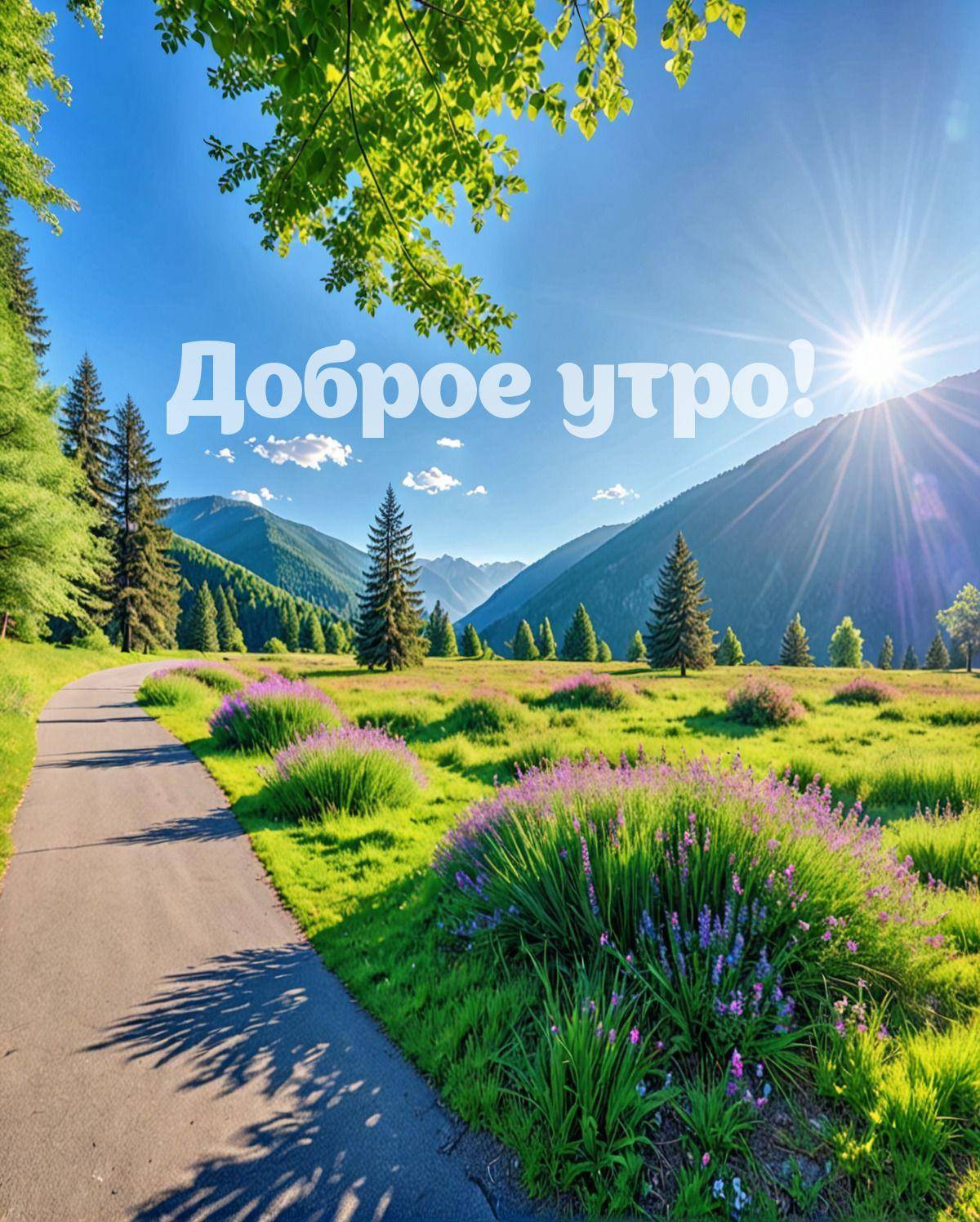 Утро, извилистая дорожка через луг с фиолетовыми цветами