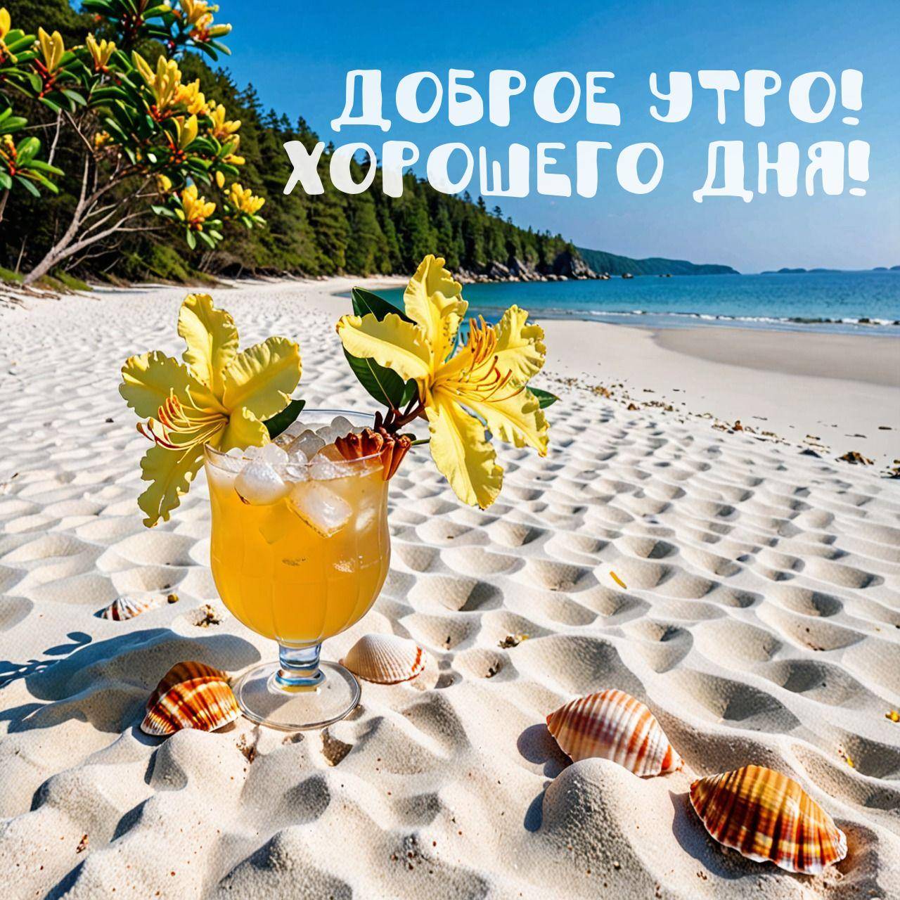 Утро, песчаный пляж с ракушками и коктейлем на фоне моря