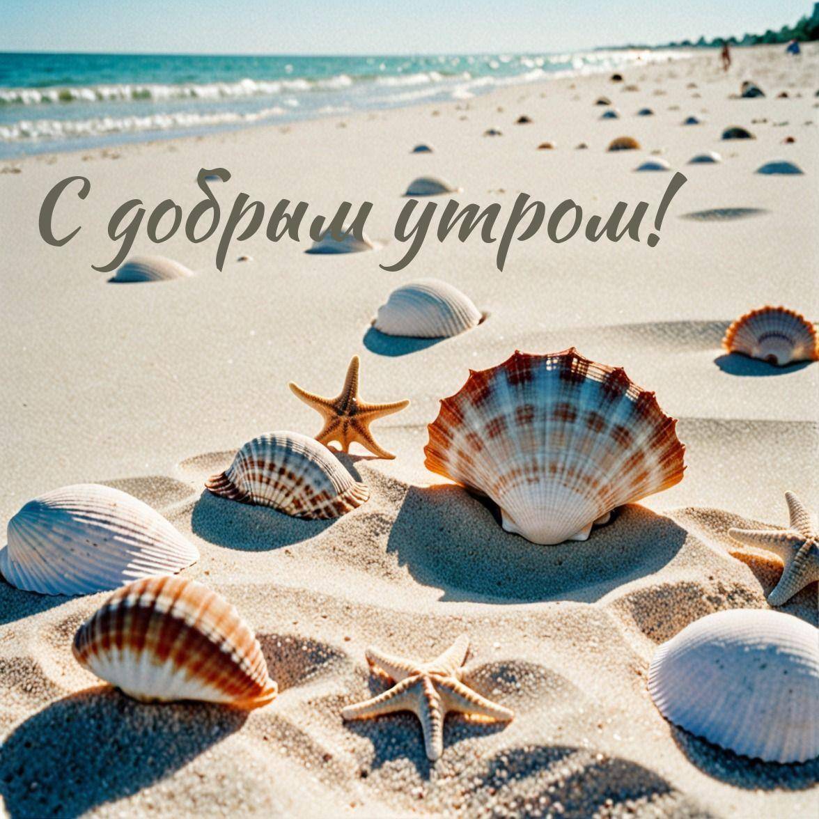 Утро, песчаный пляж с ракушками и морскими звездами