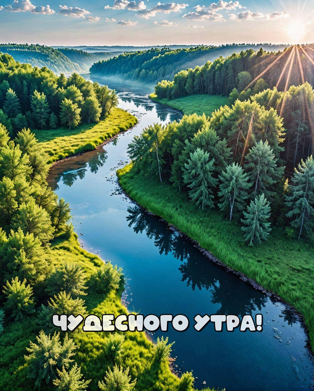 Утро, извилистая река в зелёном лесу с кристально-чистой водой