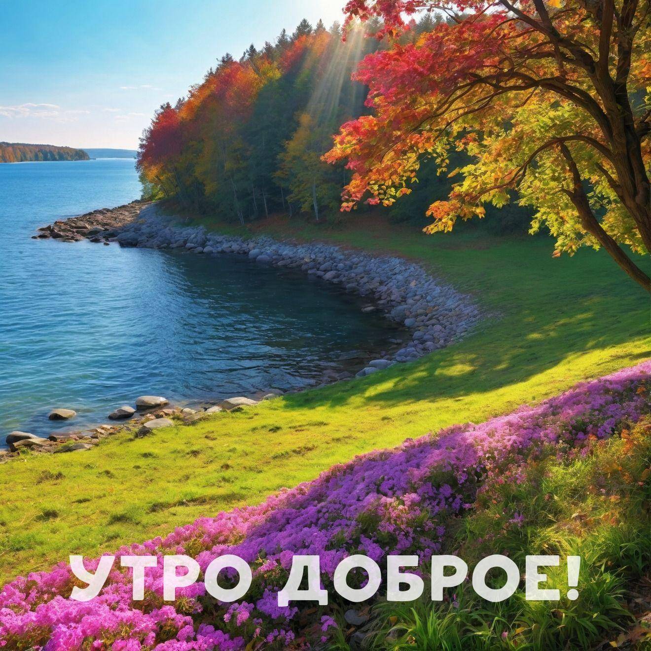 Утро, осенний пейзаж с фиолетовыми цветами на берегу озера