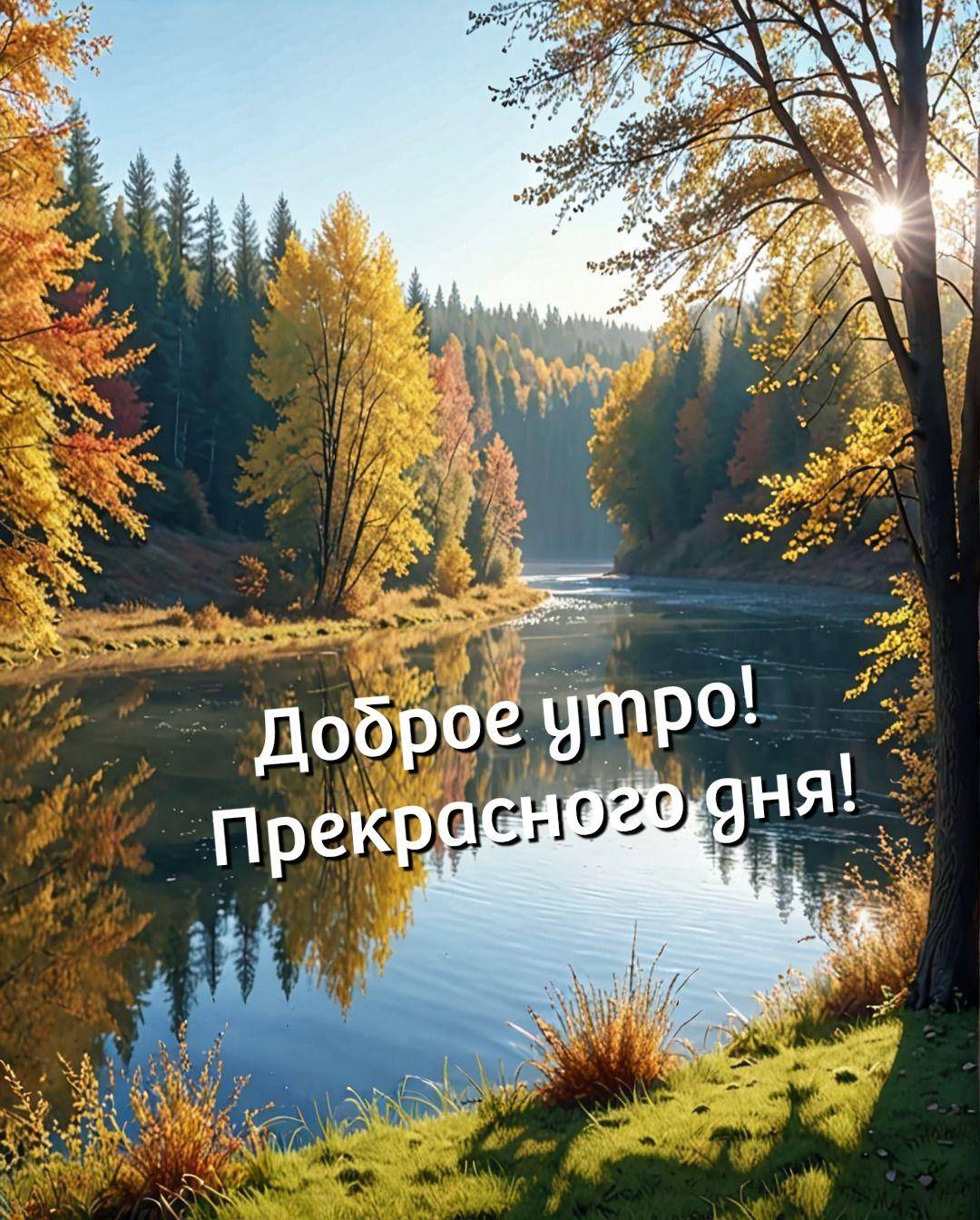Утро, осенний пейзаж с рекой и деревьями