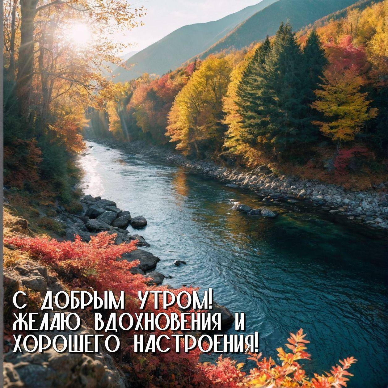 Утро, осенний пейзаж с рекой и деревьями в ярких цветах