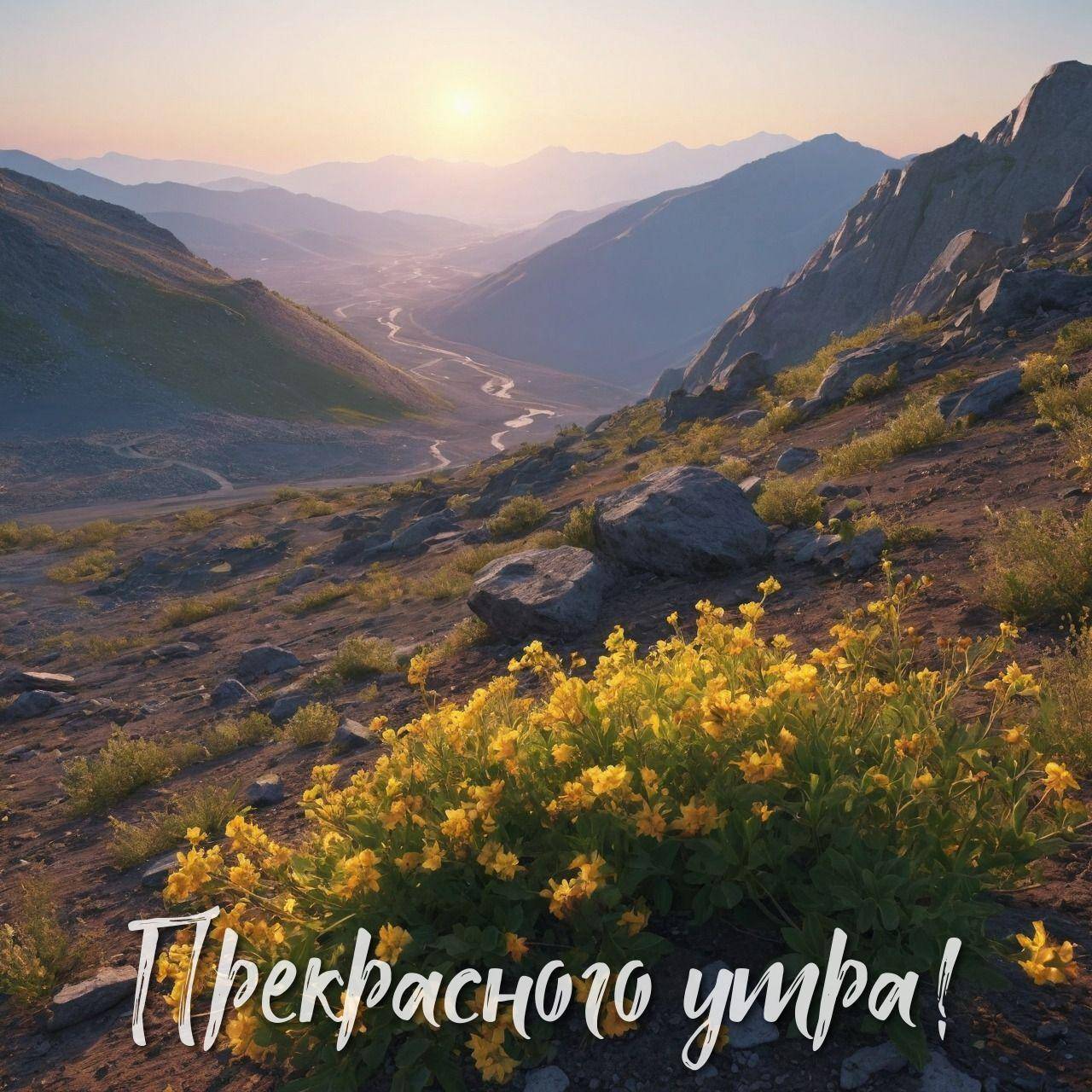 Утро, горный пейзаж с цветами на закате