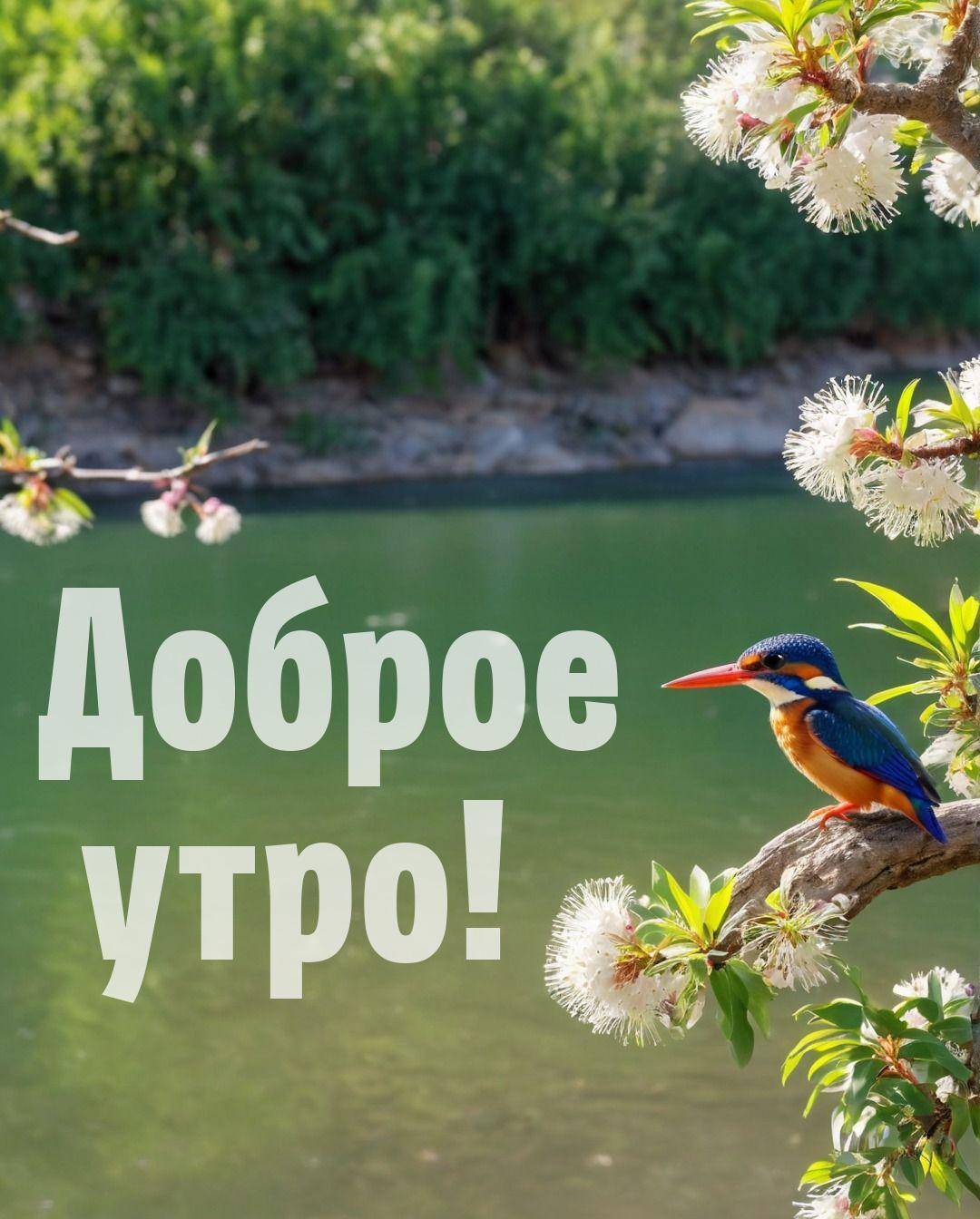 Утро, зимородок с ярким оперением сидит на ветке